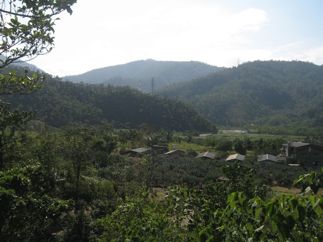 renshan2